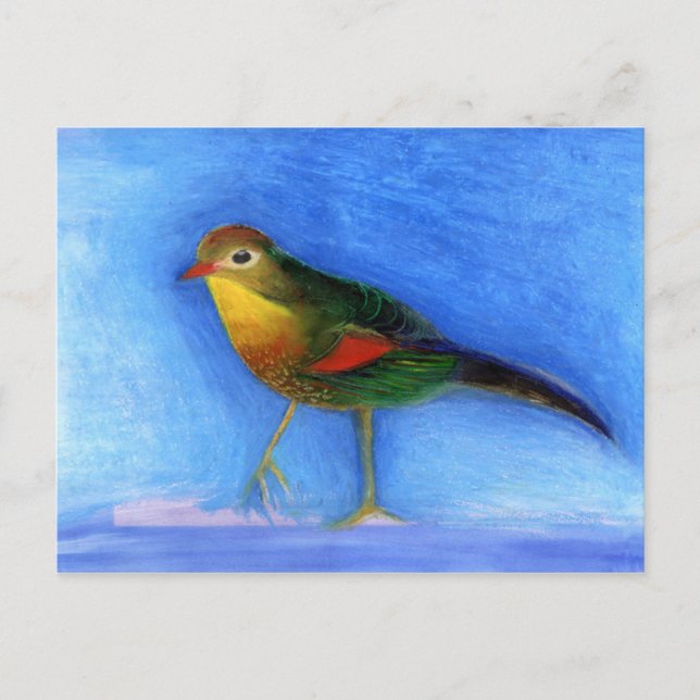 Nightingale Light 2012 Postcard (Front)