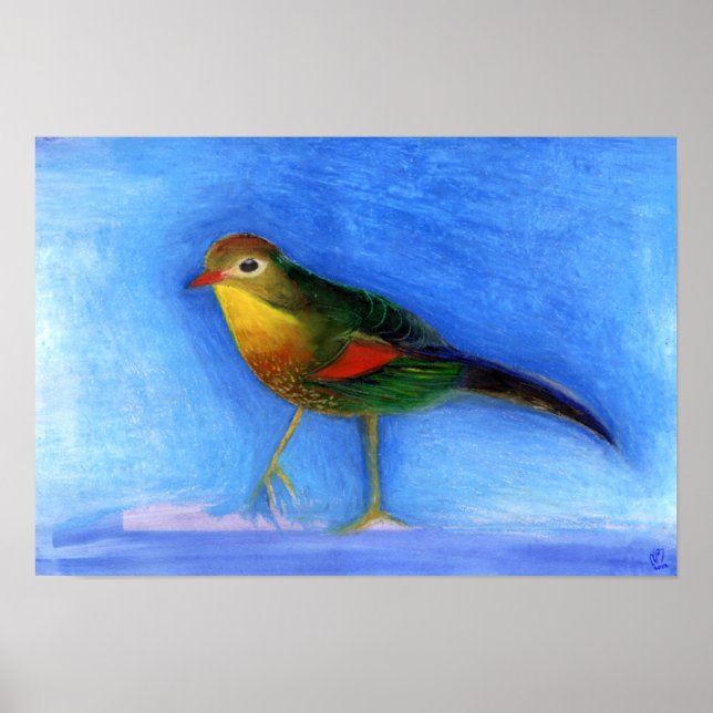 Nightingale Light 2012 Poster (Front)