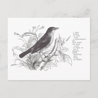 nightingale postcard