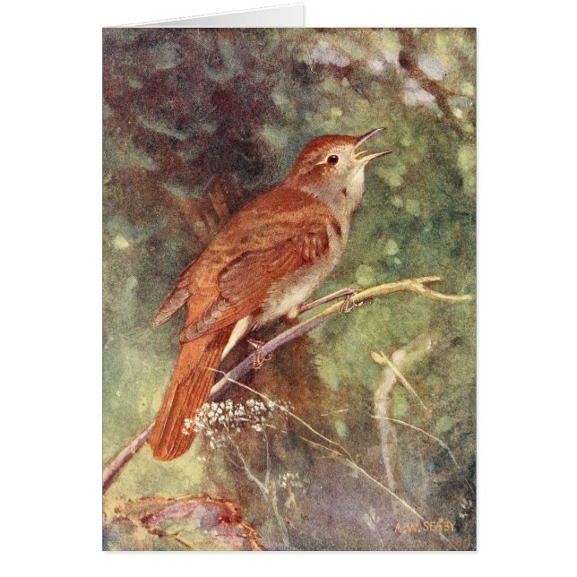 Nightingale Singing (Front)