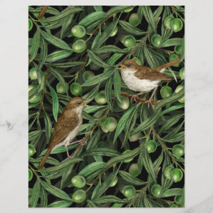 Nightingales in the olive tree 3