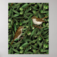 Nightingales in the olive tree 3