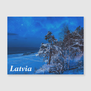 Nighttime winter scene with snow covered pines