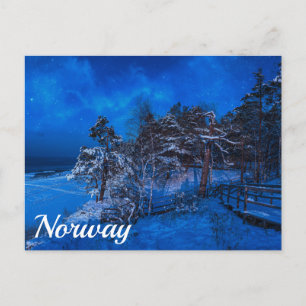 Nighttime winter scene with snow covered pines pos postcard