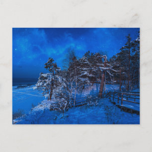 Nighttime winter scene with snow covered pines postcard