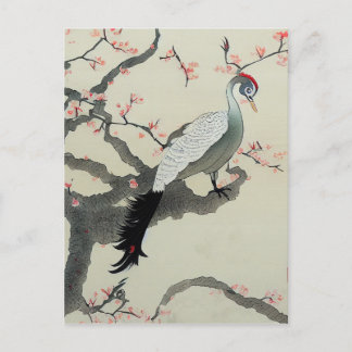 Nihonga Japan Traditional Bird Cherry Blossom Postcard