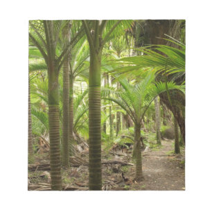 Nikau Palms, Heaphy Track, near Karamea, Notepad