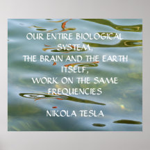 NIKOLA TESLA QUOTE - SAME FREQUENCIES -