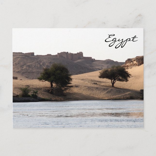 nile banks postcard (Front)