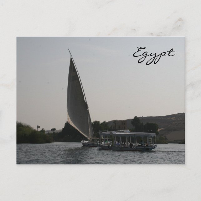 nile boats postcard (Front)