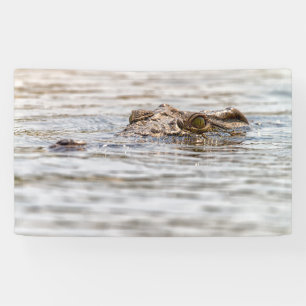 Nile Crocodile Banner