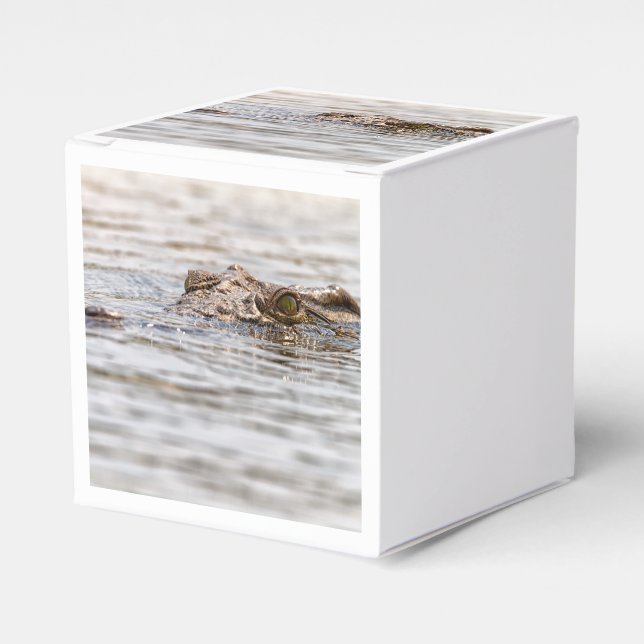 Nile Crocodile Favour Box (Front Side)