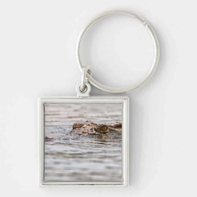 Nile Crocodile Key Ring (Front)