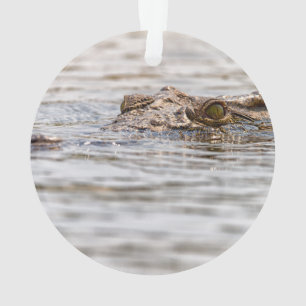 Nile Crocodile Ornament
