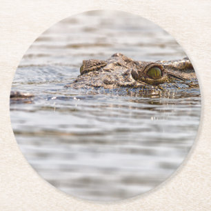 Nile Crocodile Round Paper Coaster