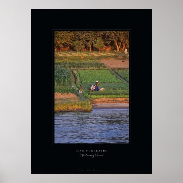 "Nile Evening Harvest" Poster (Front)