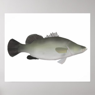 Nile Perch Poster