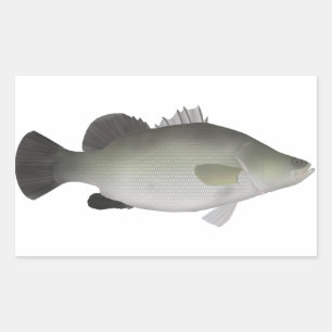 Nile Perch Rectangular Sticker