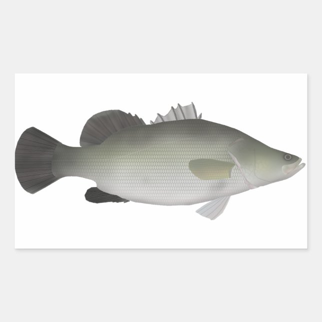 Nile Perch Rectangular Sticker (Front)