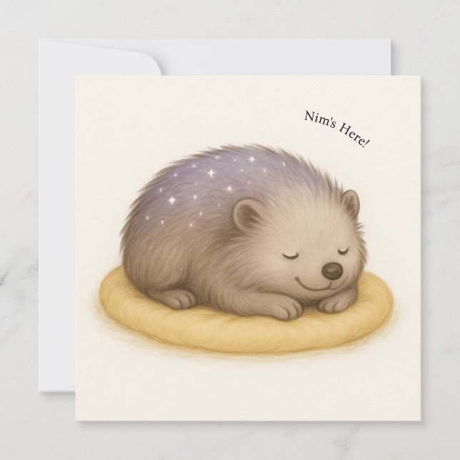 Nim Sleeps Customisable Comfort Series Card (Front)