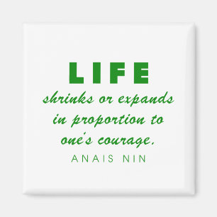 Nin on Courage Magnet