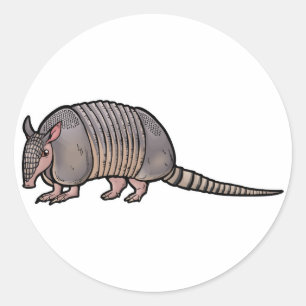 Nine Banded Armadillo Classic Round Sticker