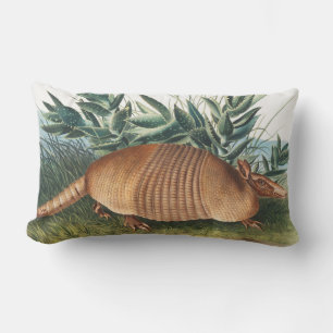 Nine-banded Armadillo (Dasypus Peba) Illustration Lumbar Cushion