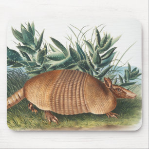 Nine-banded Armadillo (Dasypus Peba) Illustration Mouse Pad