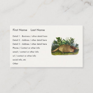 Nine-Banded, Long-nosed Armadillo by Audubon Business Card