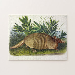 Nine-Banded, Long-nosed Armadillo by Audubon Jigsaw Puzzle
