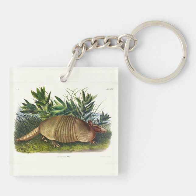 Nine-Banded, Long-nosed Armadillo by Audubon Key Ring (Back)