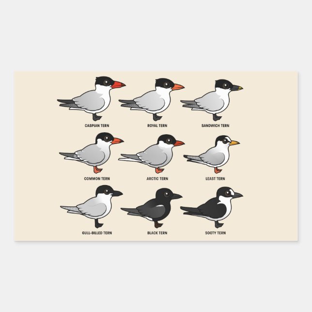 Nine Birdorable Terns (labelled) Rectangular Sticker (Front)