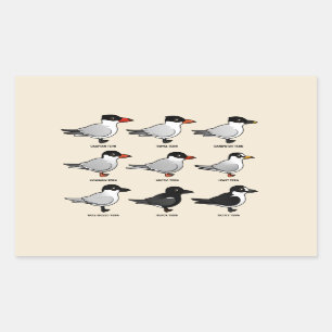 Nine Birdorable Terns (labelled) Rectangular Sticker