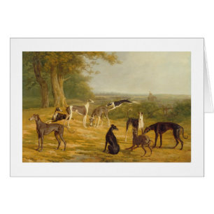 Nine Greyhounds in a Landscape (oil on canvas)