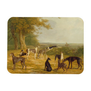 Nine Greyhounds in a Landscape (oil on canvas) Magnet