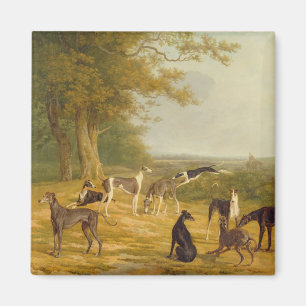 Nine Greyhounds in a Landscape (oil on canvas) Magnet