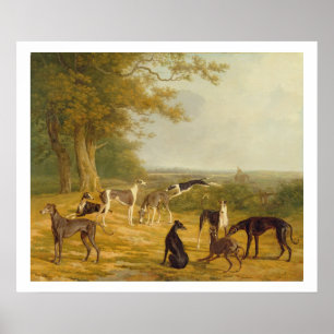 Nine Greyhounds in a Landscape (oil on canvas) Poster