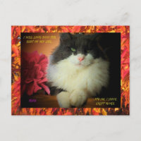 Nine lives kitty with fall leaf border