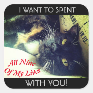 "Nine Lives With You" Calico Cat  Square Sticker