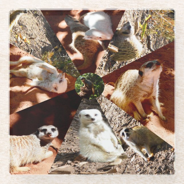 Nine Meerkat Triangles, Glass Coaster (Front)