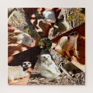Nine Meerkat Triangles, Jigsaw Puzzle