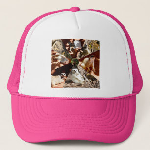 Nine Meerkat Triangles, Truckers Hat