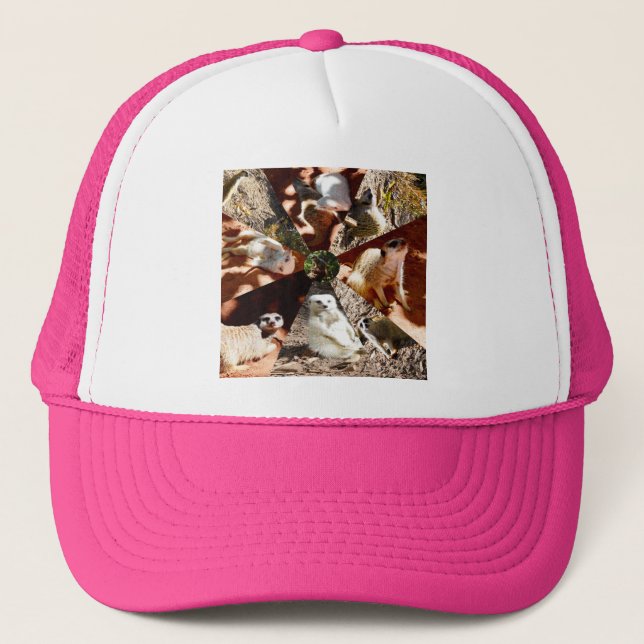 Nine Meerkat Triangles, Truckers Hat (Front)