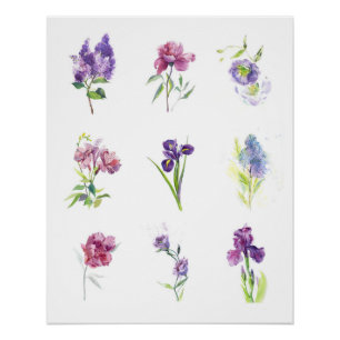 Nine Spring Flowers Botanical Watercolor Poster