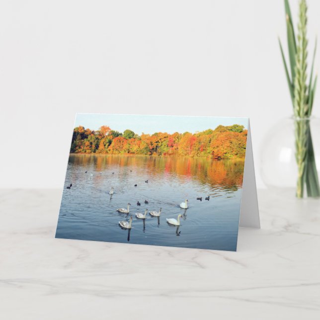 Nine swans card (Front)