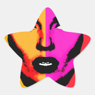 Nineteen Seventy Three Star Sticker