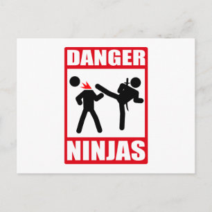 Ninja Academy Okinawa Kill Bill Postcard