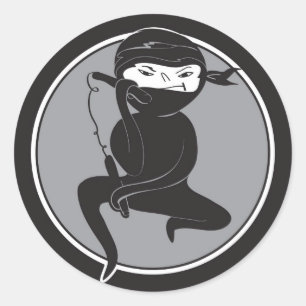 NInja Black Belt Stickers
