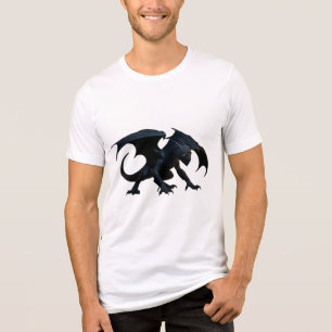 Ninja Dragon Tri-Blend Shirt