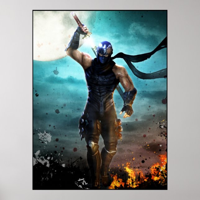 ninja gaiden poster (Front)